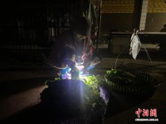 广西南宁的无人菜摊：付钱全凭自觉 诚信比菜更“鲜”